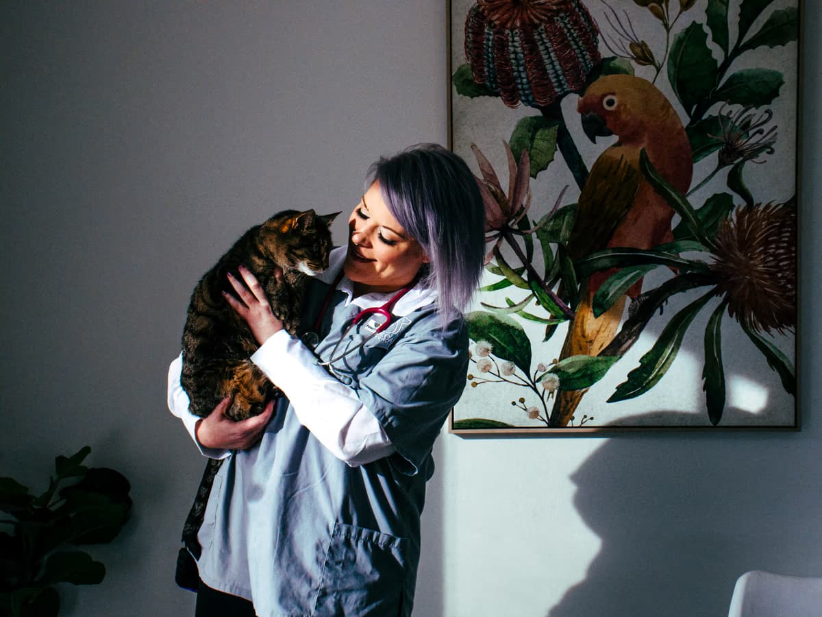Dr Chantelle McGowan holding a cat gently and calmly