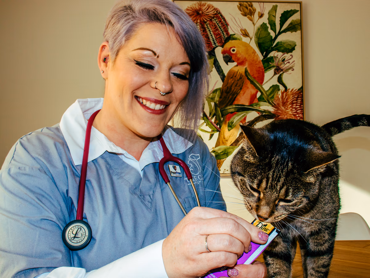 Dr Chantelle McGowan offering a treat to a cat during a Fear Free home visit
