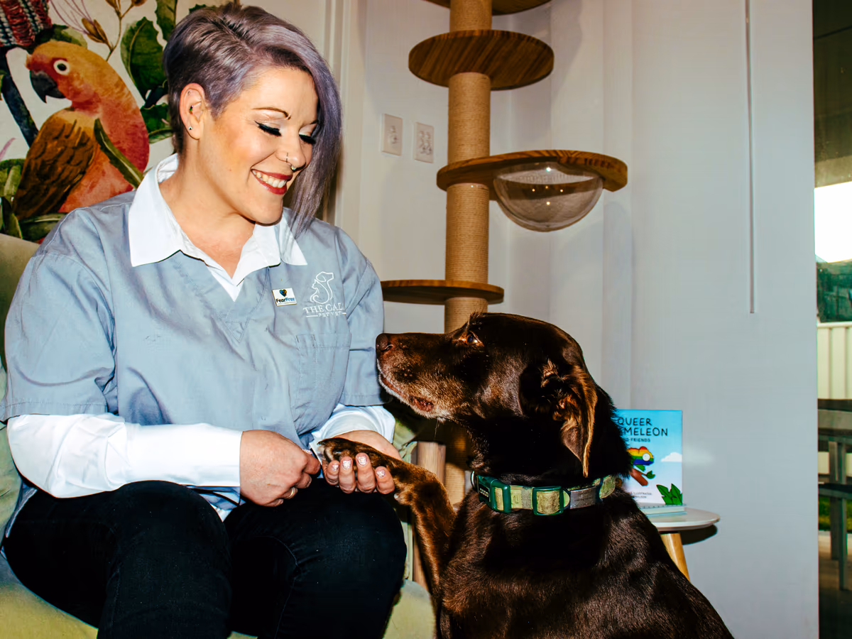 Dr Chantelle McGowan sitting with a dog during a mobile vet home visit
