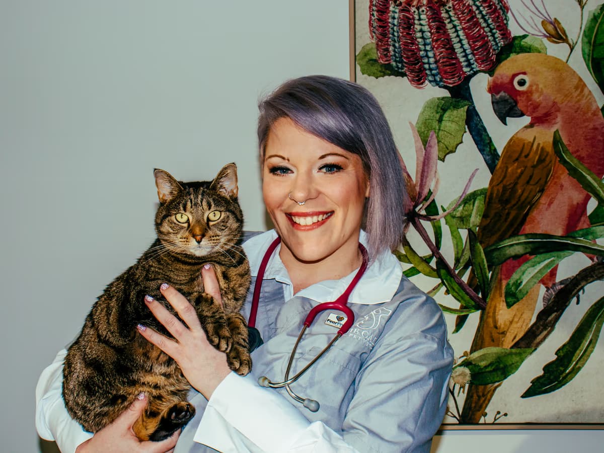 Dr Chantelle McGowan holding a calm tabby cat during a veterinary behaviour consultation